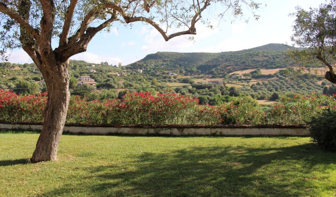 B&B Kapi Country Alguer Exterior foto